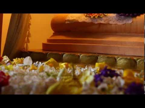 Malak Nelaa - මලක් නෙළා