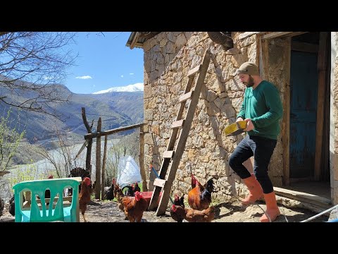 Yalnız Bir Adam, Aradığı Huzuru ve Sevgiyi Hayvanlarında Buldu / Yüksek Dağlarda Koşulsuz Sevgi.