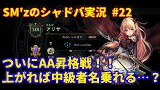 【shadowverse実況】AA昇格戦！果たして上がれるか…　＃22