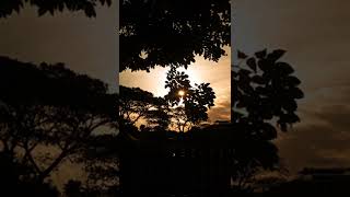 Download lagu Story WA Vibes Senja || Memories Video                            #storywa30detik #storywasenja mp3 Download lagu Story WA Vibes Senja || Memories Video                            #storywa30detik #storywasenja mp3