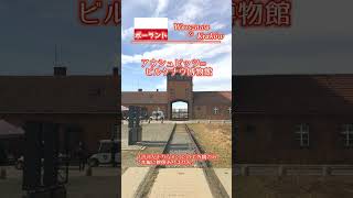 ポーランド旅行 ワルシャワの美しい建物とクラクフから戦禍の博物館を巡る  - ロンドン生活