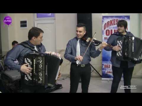 Orkestar OLUJA, Milana Obretkovića. Srpski splet za početak veselja. Gornjački Dvor- 2016.