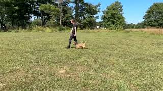 Video 5 trigger image