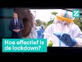 We doen ons best, maar de lockdown werkt niet • Z zoekt uit