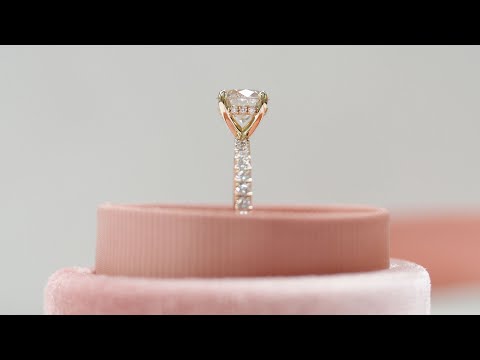 The David - Four Prong Pave Engagement Ring in Yellow Gold | Ada Diamonds