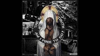 The Soft Pink Truth - Fuck Nazi Sympathy (Aus-Rotten cover)