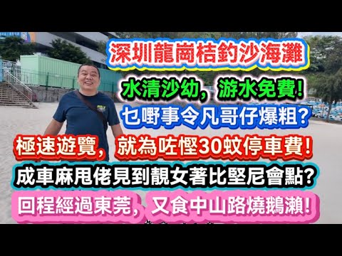 深圳龍崗桔釣沙海灘。水清沙幼，遊水免費！乜嘢事令凡哥仔爆粗？極速遊覽，就為咗慳30蚊停車費！成車麻甩佬見到靚女著比堅尼會點？回程經過東莞，又食中山路燒鵝瀨！20260526