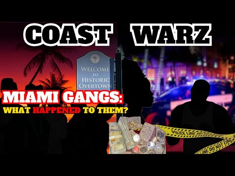 Notorious Miami Gangs: Origins, Influence, and Decline