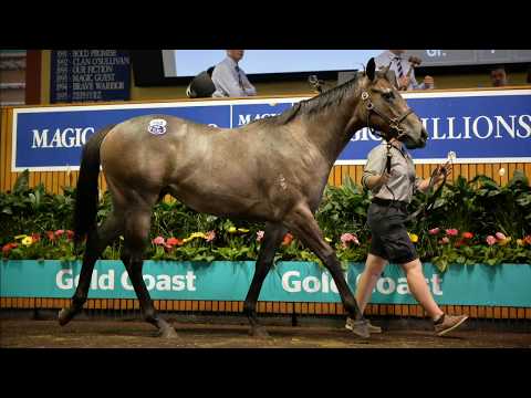 2018 Gold Coast Yearling Sale - Day 5 (Live Stream Archive)