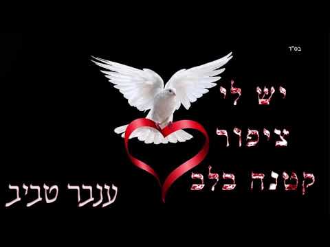 יש לי ציפור קטנה בלב - ענבר טביב (קאבר) - שירת נשים/Tzipor Ktana Balev - Inbar Tabib - Kol Isha