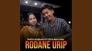 Download lagu Rodane Urip (feat. Citra Marcella) mp3