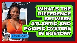 What's The Difference Between Atlantic And Pacific Oysters In Boston? - Everything About Boston