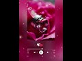 Rehna Tu Pal Pal Pal Pal Dil Ke Pass Karan Deol Whatsapp Status Song