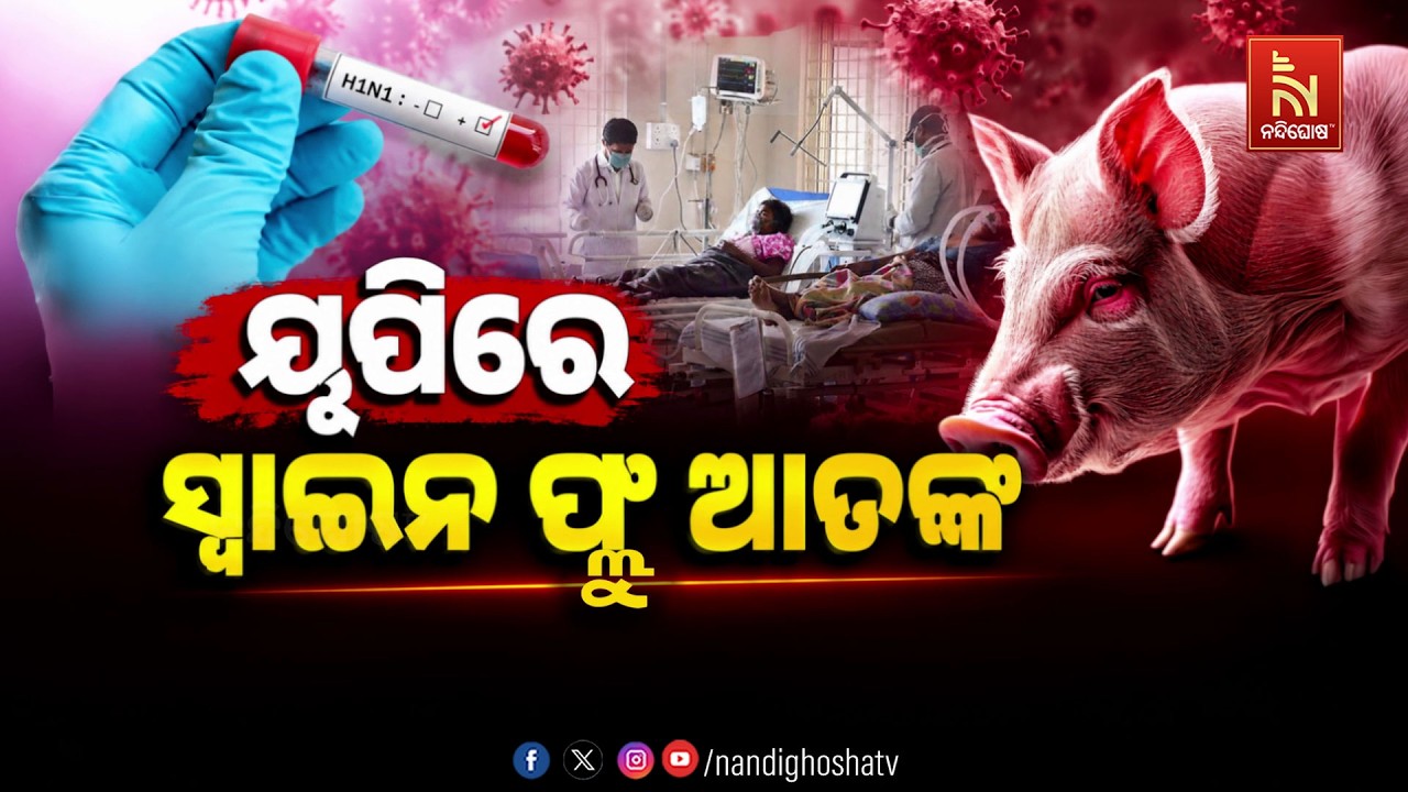 🔴 Live | ୟୁପିରେ ସ୍ବାଇନ ଫ୍ଲୁ ଆତଙ୍କ