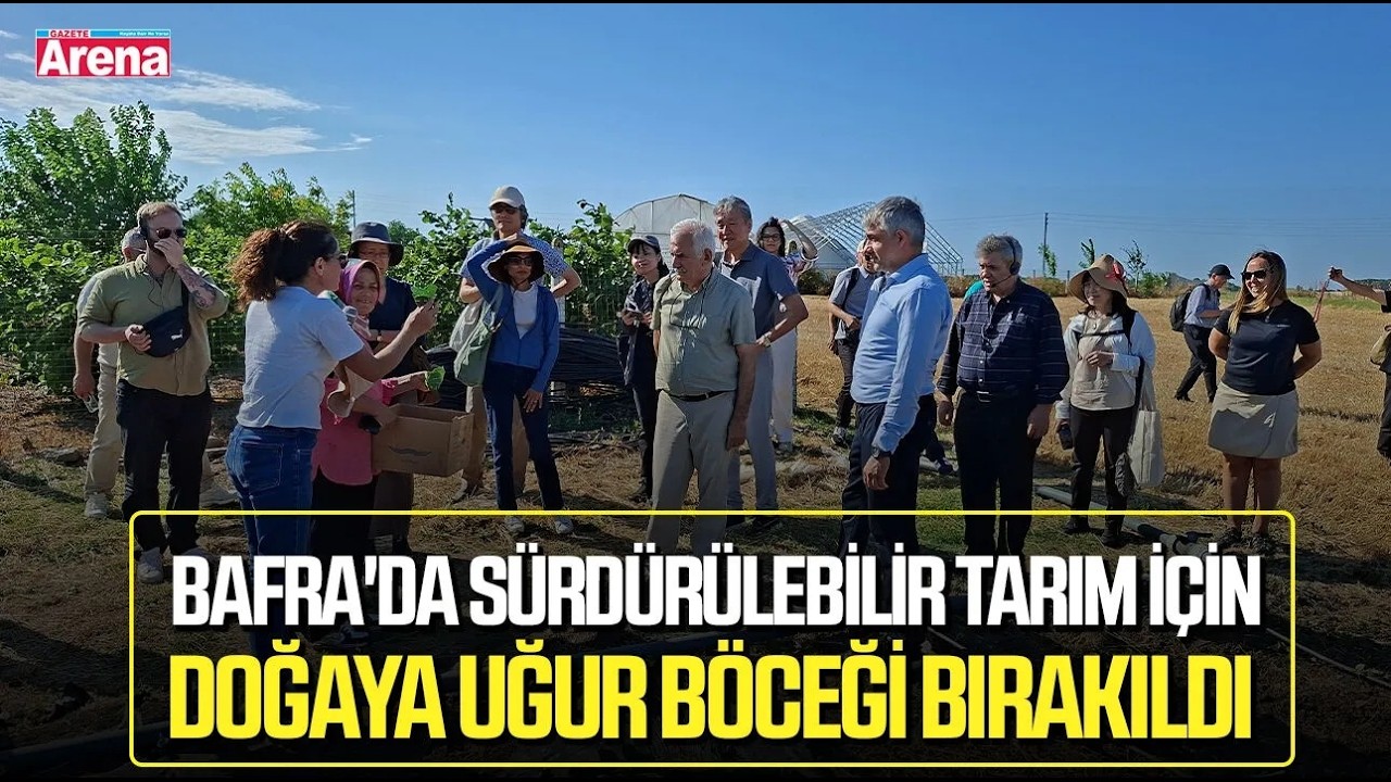 Bafra'da sürdürülebilir tarım için doğaya uğur böceği bırakıldı
