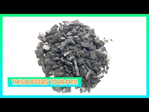 AquaChar, First Look at the Last Carbon You'll Ever Use