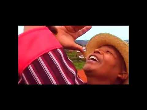 Cinéma Direct   LOUIS 7 FRERES