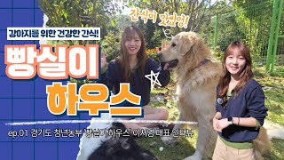 “강아지 수제 간식을 직접 만든다고? ???? 청년농부가 운영하는 ‘빵실이하우스' 이서영 대표 인터뷰"