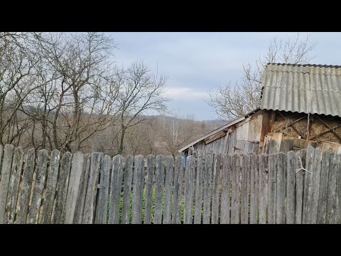 FIRIJBA / satul vechi de pe vremea Dacilor așezat între păduri ! Februarie 2024