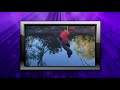 Custom AFV Honorable Mentions 106