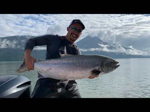 Monster Chinook Salmon in Rivers Inlet August 2020!!