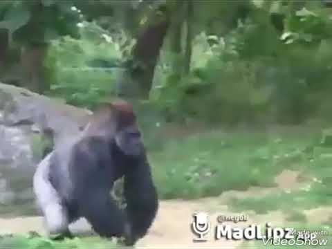 Nossa ó os homi moio disfarça KKKKKK 😂