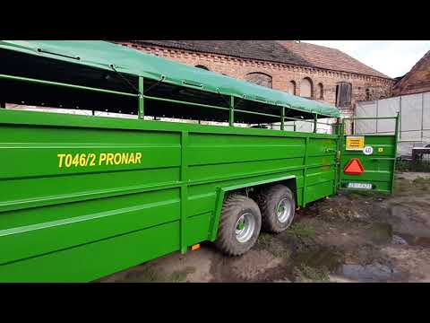 Barzkowice 2021 wyjazd z jałówkami Limousine cz.1