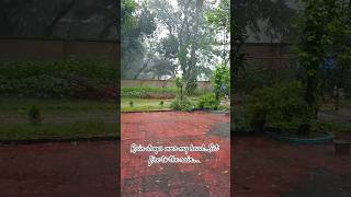 Rain drops over my head....#short #shortsfeed #shortvideo #nature #rain #life&amp;nature