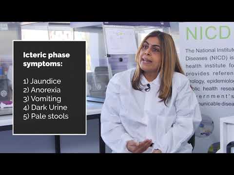 Symptoms of viral hepatitis