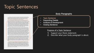 Essay Writing | Body Paragraphs | 07 Topic Sentences