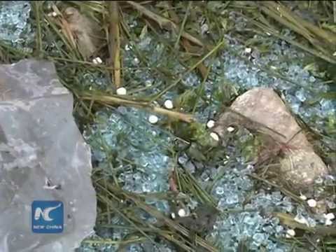 China bus crash- 16 injured Koreans in intensive care