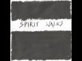 Nerina Pallot - 'Spirit Walks' 