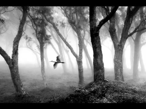 Såsom Fågelen - Ale Möller and Lena Willemark