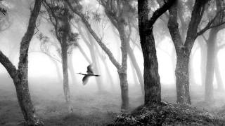 Såsom Fågelen - Ale Möller and Lena Willemark