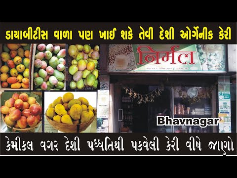 ડાયાબિટીસ વાળા પણ ખાઈ શકે એ દેશી કેરી વિષે જાણો જે કેમિકલ વગર દેશી પધ્ધતિ થી પાકે છે #Bhavnagar