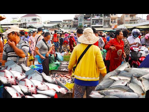 Busy Fish Market Early Morning, Chhbar Ampov Market