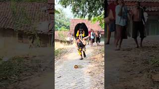 Download lagu NGAKAK !! Pengejek Ketangkap Barongan ngamuk lucu banget #shorts mp3 Download lagu NGAKAK !! Pengejek Ketangkap Barongan ngamuk lucu banget #shorts mp3