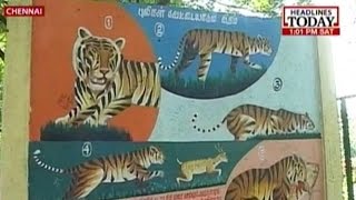 Bengal tiger missing from enclosure in Vandalur Zoo (Chennai)