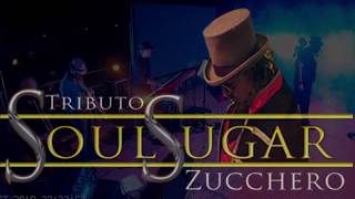 Soul Sugar Tributo a Zucchero