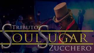 Soul Sugar Tributo a Zucchero video preview