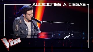 Javier Erro canta 'A million dreams' | Audiciones a ciegas | La Voz Antena 3 2019