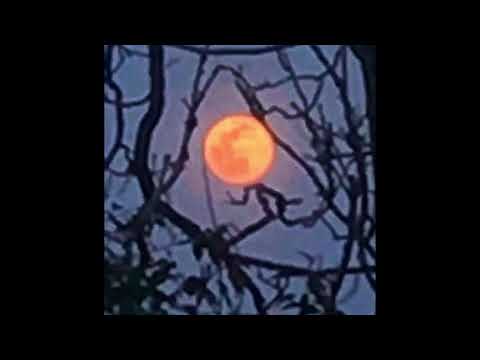 (FREE) *ukulele* Juice WRLD x Joji Type Beat - gone