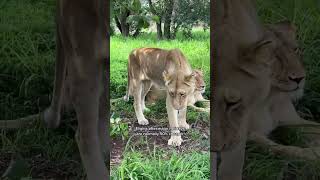 Tips for traveling with a full-time job #travel #traveltips #traveltipsandtricks #traveladvice