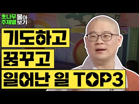 기도하고 꿈꾸고 일어난 일 TOP3✨  [광우스님 소나무 주제별 몰아보기]