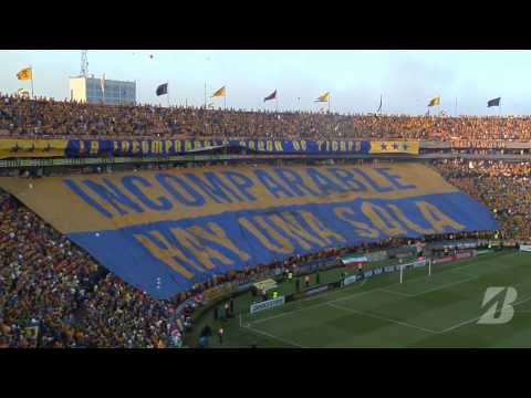 "Tigres vs Internacional, semifinal de vuelta 2015" Barra: Libres y Lokos • Club: Tigres