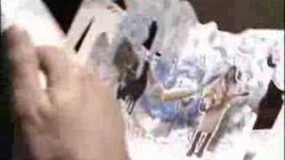 The Fiery Furnaces - Tropical Iceland