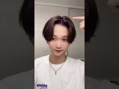 ボンビシラ・ガルルス