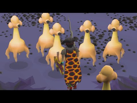 Zuk Helm Any% Speedrun - Episode 5: Getting Ready to Log Out