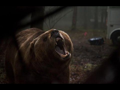 Into the Grizzly Maze (Trailer)