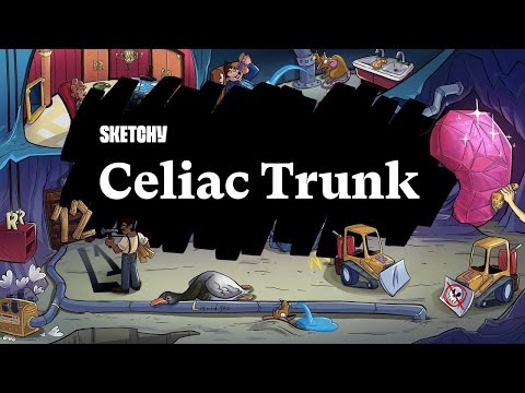 Learn Celiac Trunk (Part 1) | Sketchy Medical | USMLE Step 1 Anatomy